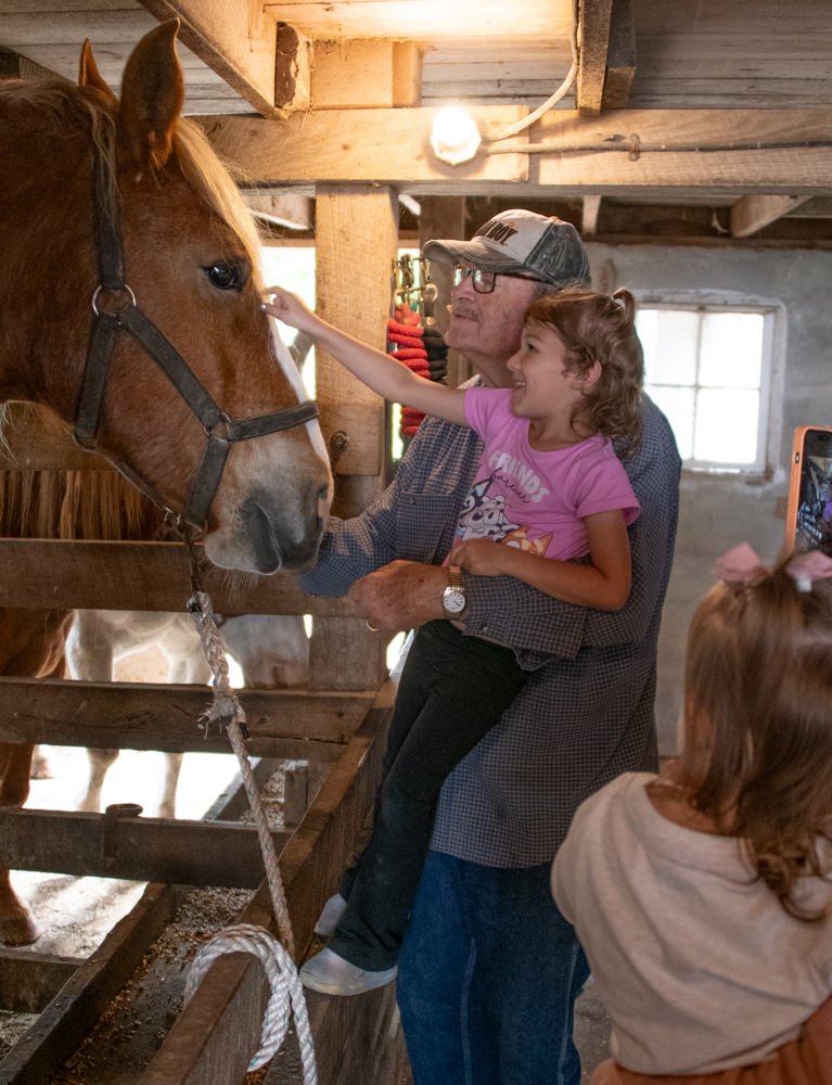 Older man with a cap holds a smiling girl as she reaches to pet a brown horse in a wooden barn stall.
