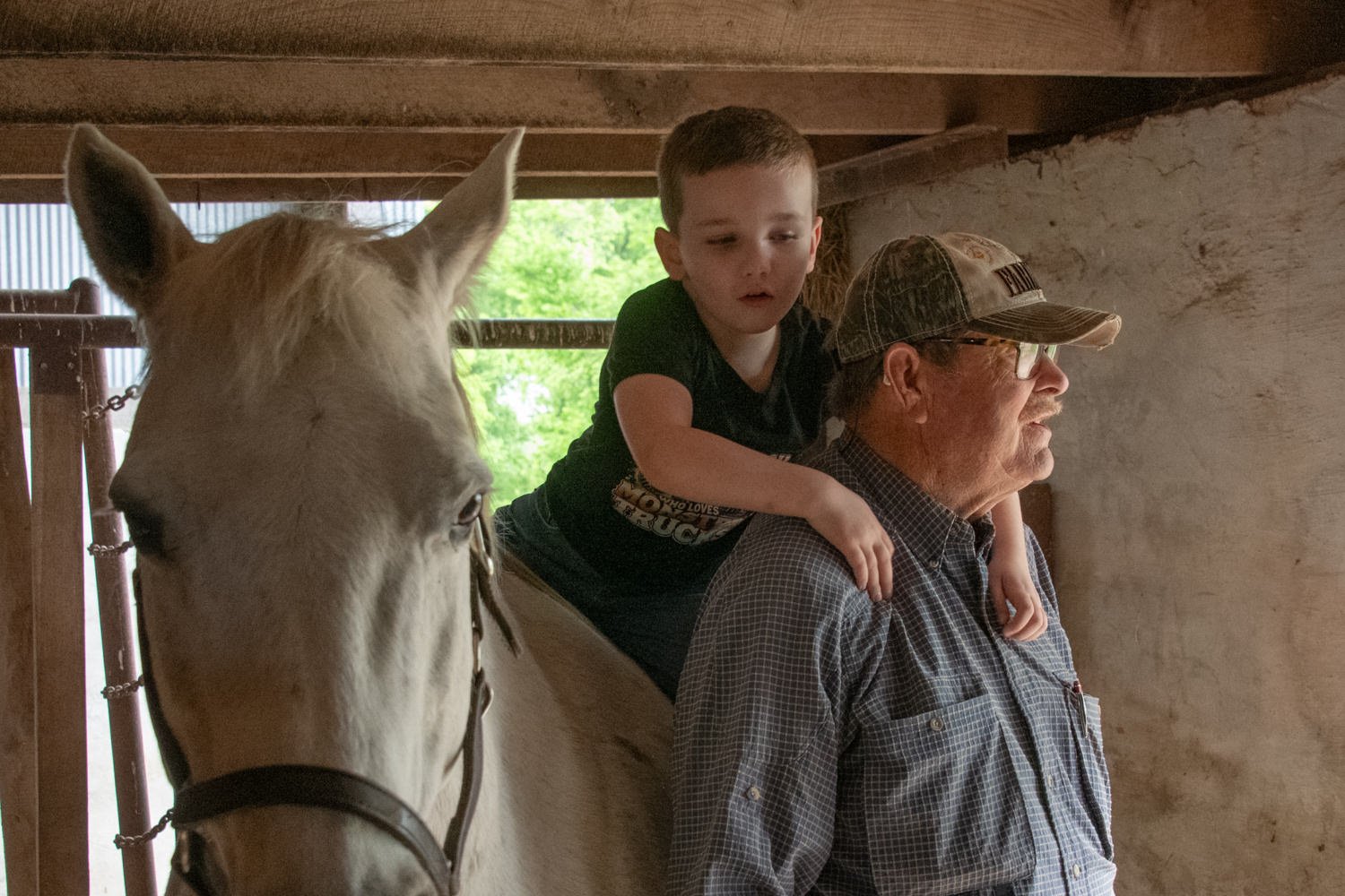Man in a plaid shirt and cap holds a white horse beside him in a barn, a young boy sits on the man's shoulders.
