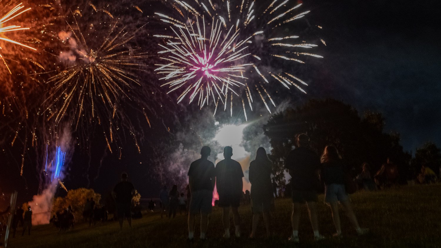 Silhouetted crowd watching a fireworks display in a dark park at night.