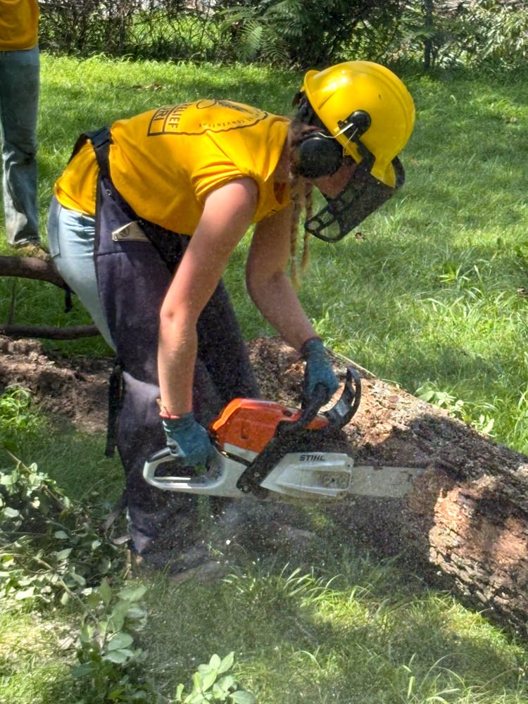 Worker in a yellow helmet and safety gear cuts a fallen log with a STIHL chainsaw outdoors on grass and dirt.