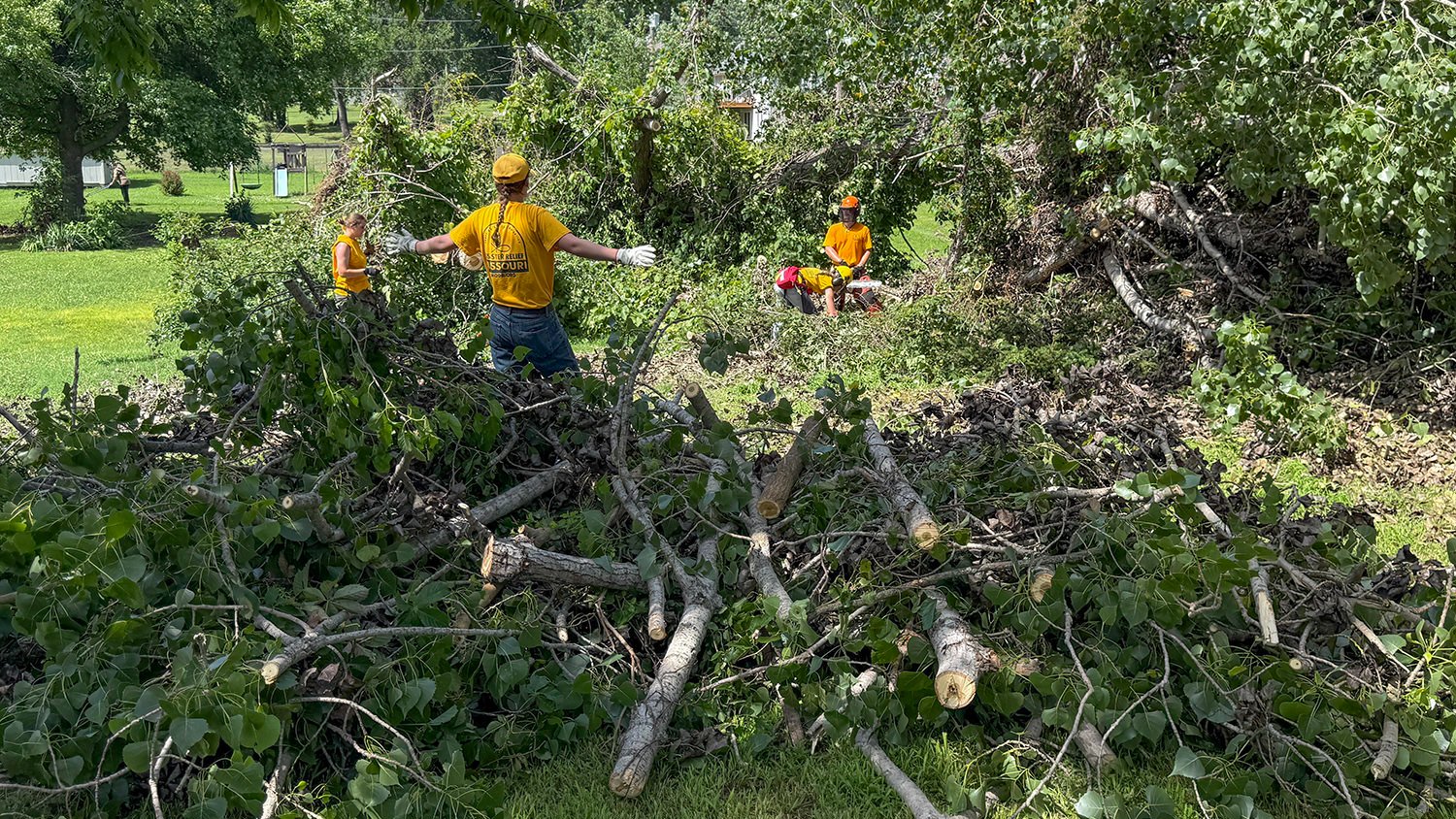 Volunteers in orange shirts clearing a pile of fallen branches in a park or yard after a storm.