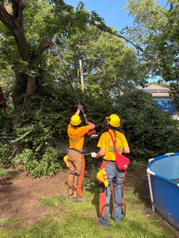 Two workers in yellow hard hats and orange shirts trim a tall tree with a pole saw in a residential backyard.