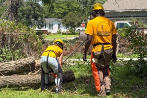 Two workers in yellow safety shirts and helmets remove a fallen tree trunk in a residential front yard.