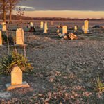 Cemetery at sunset with scattered white headstones on dry grass, a few small plants nearby and long shadows across the scene.