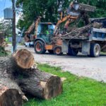 Log truck and backhoe loading debris from a large fallen tree while workers clear the area; several cut tree trunks lie on the grass and road nearby.
