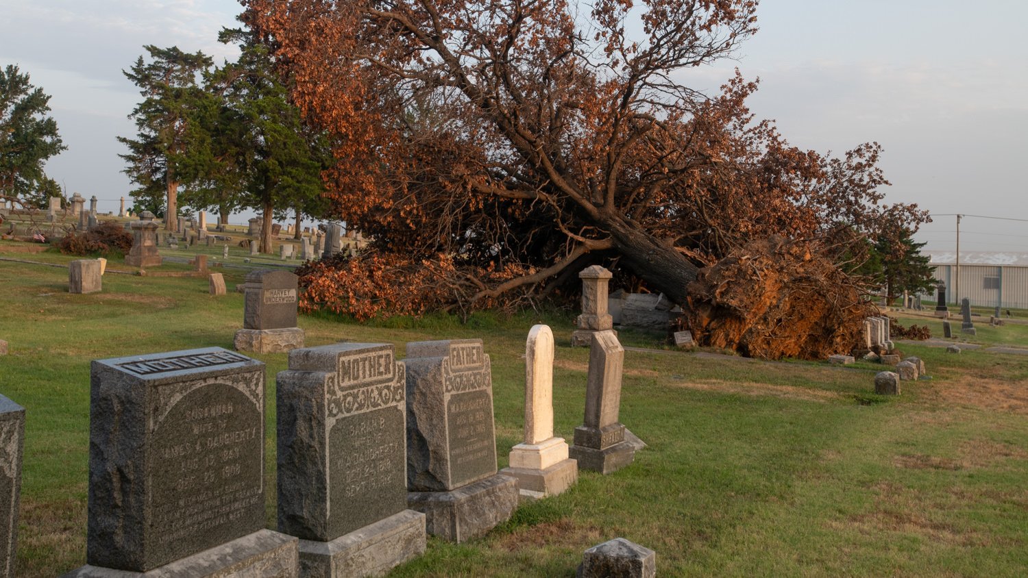 A cemetery at sunset with a large fallen tree resting over gravestones in the foreground, casting warm light on the stones.