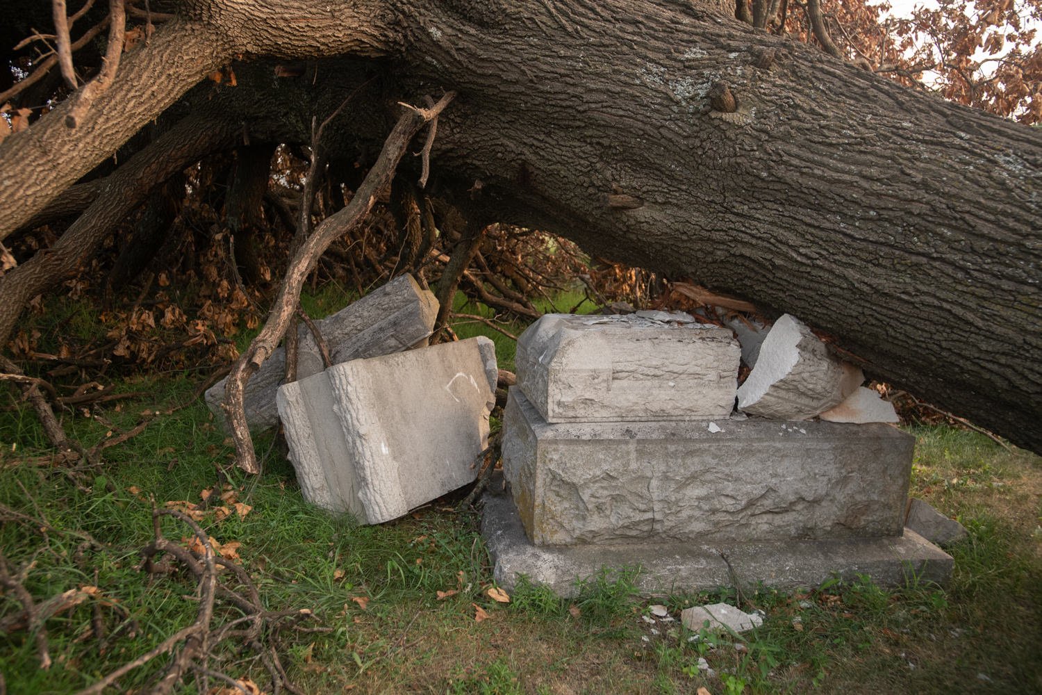 A large tree has fallen over a stack of weathered concrete blocks on a grassy area.